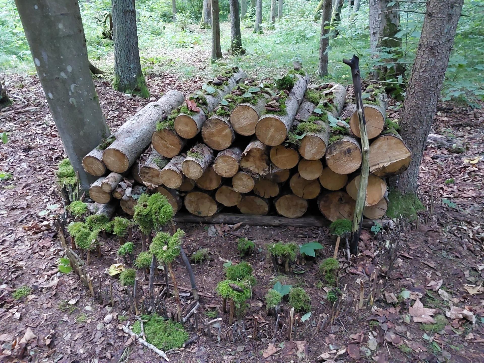 Karštejn 2025 Image 34